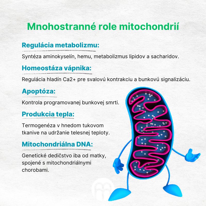 (Slovenčina) Mnohostranné role mitochondrií